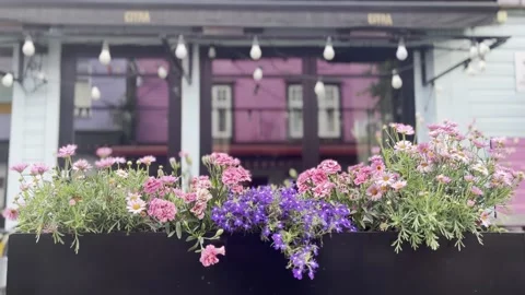 Pink and Purple Flowers with String Lights on a Colorful Scandinavian House Vídeos de archivo 341978967