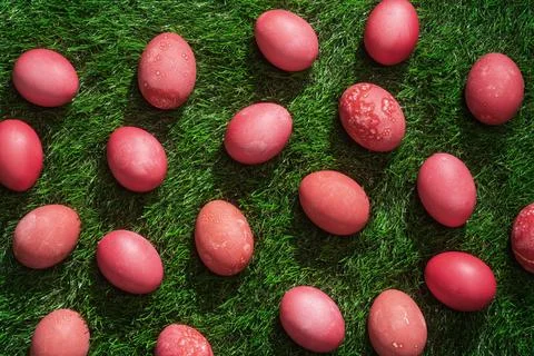 Pink and red dyed Easter eggs lie on vivid green grass under bright sunlight, Stock Photos