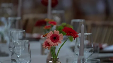 Pink And Red Gerbera Daisies In Glass Bud Vase On Wedding Table Stock Footage 343892511