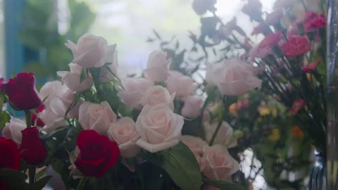 Pink and Red Roses Bloom Stock Footage 201215436