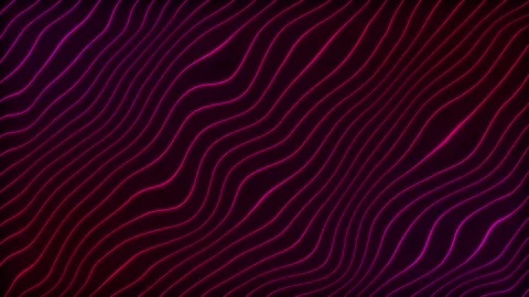 Pink and red wave lines animation. Stock Footage 280085547
