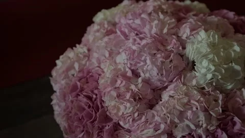 Pink and White Hydrangea Bouquet Close Up Detail Video stock 342762502