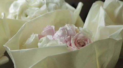 Pink and white roses, close up focus pull Stock Footage 58548587