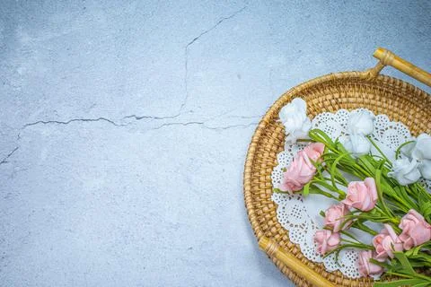 Pink and white roses with gray background Stock Photos