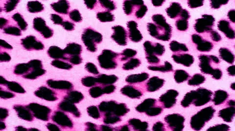Pink Animal Print Stock Footage 26662553