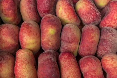 Pink apple background. Stock Photos