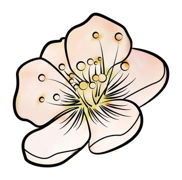 Pink apple blossom. Contour pattern Illustrazione stock