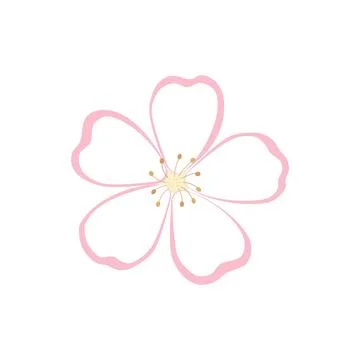 Pink Apple Blossom Flower Vector Illustration Isolated on White: Cherry Blossom Stock Illustration
