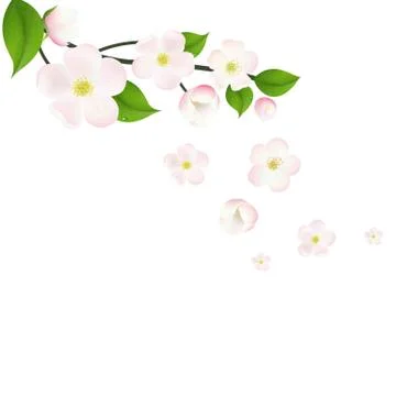 Pink apple tree flowers border 库存插图