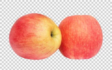 Pink apples isolated Stock Photos