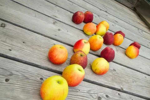 Pink apples 스톡 사진