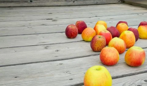 Pink apples 스톡 사진