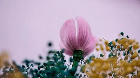 A pink artificial flower surrounded by small green and yellow stems Stock Photos