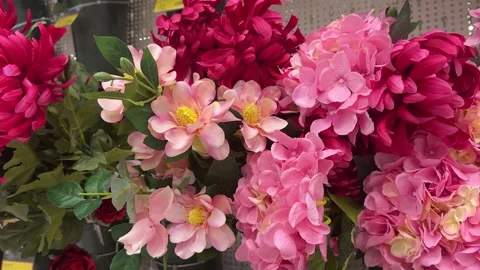 Pink Artificial Flowers Floral Store Display Stock Footage 323804792