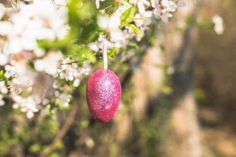 Pink artificial glitter Easter egg hanging on flowering branch of a spring tree Stock Photos
