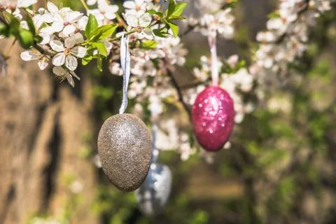 Pink artificial glitter Easter egg hanging on flowering branch of a spring tree Stock Photos