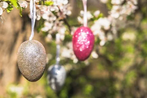 Pink artificial glitter Easter egg hanging on flowering branch of a spring tree Stock Photos