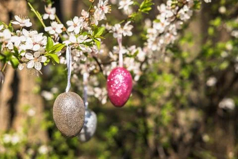 Pink artificial glitter Easter egg hanging on flowering branch of a spring tree Stock Photos