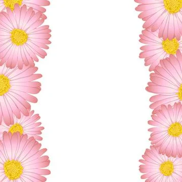 Pink Aster, Daisy Flower Border Stock Illustration