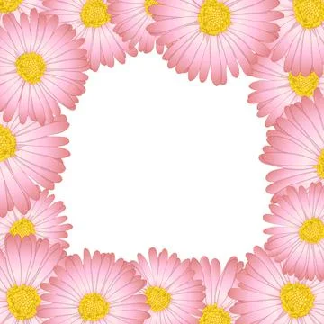 Pink Aster, Daisy Flower Border2 Illustrazione stock