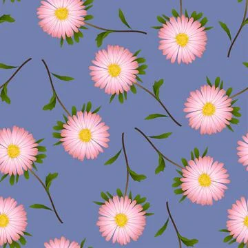 Pink Aster, Daisy on Purple Background Stock Illustration