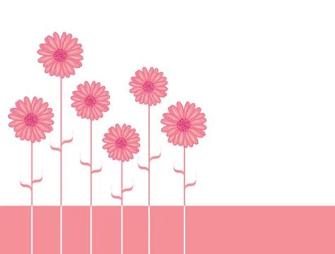 Pink aster flowers Stock Illustration