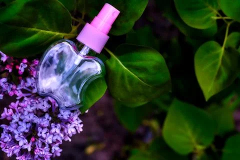 Pink atomizer spray among delicate purple lilac flowers Stock Photos