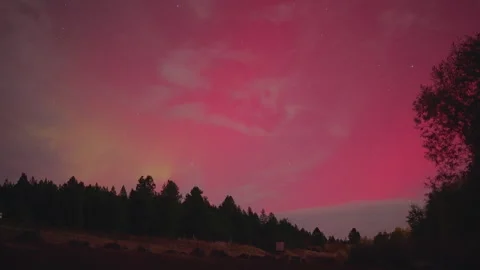 Pink auroras over alpine forest Stock-Footage 287880500