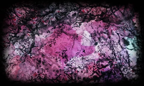 Pink autumn tree branches with falling leaves Stock Footage 196479916