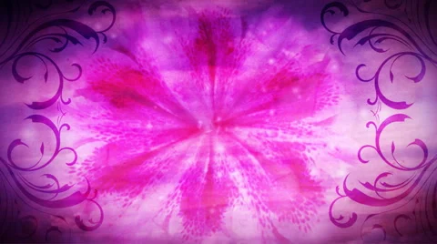 Pink Azalea Flourish  background Stock Footage 50621122