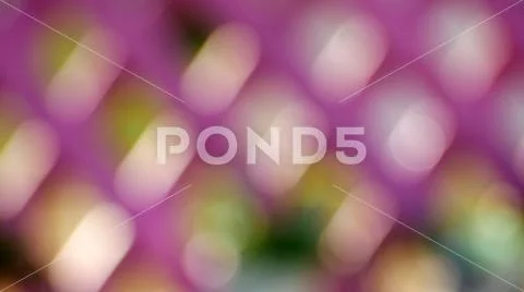 Pink backdrop Stock Photos
