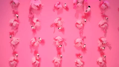 Pink background with flamingos pattern Stock Footage 221029151