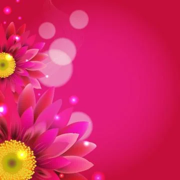 Pink background with gerbers Stock Illustration