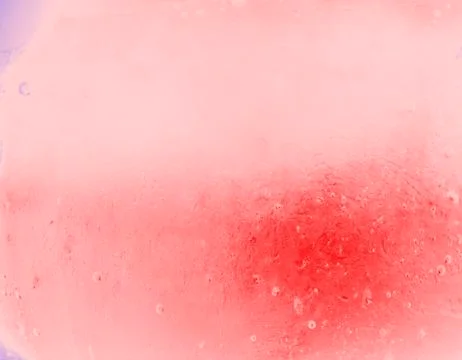 Pink background Stock Photos