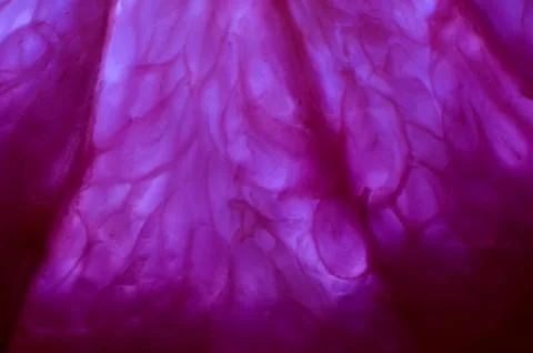 Pink background Stock Photos