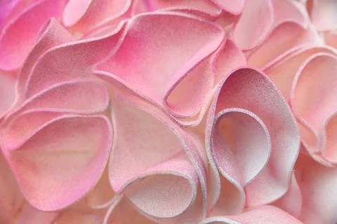 Pink background Stock Photos