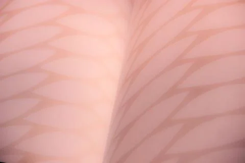 Pink background with repetitive leaf shape pattern Foto stock