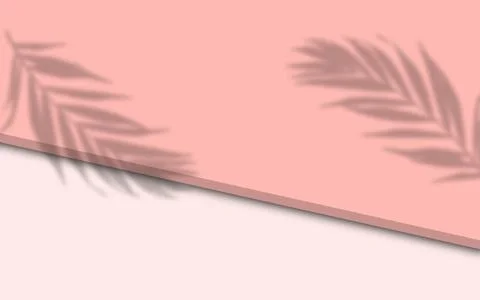 Pink background with a shadow from a palm leaf for the demonstration of cos.. Stock Photos