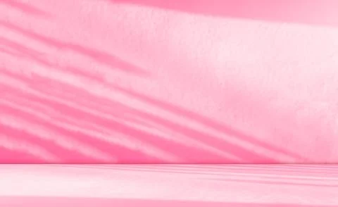 Pink Background Shadow Window Studio 3d Rose Color Pastel Gradient Stage Stock Photos