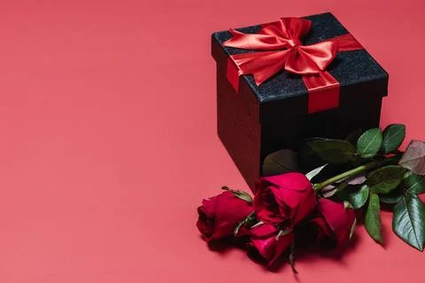 Pink background showcasing a gift box and a red rose Stock Photos