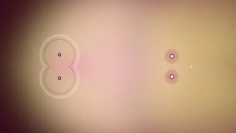 Pink Background with Small White Circles. Stock Footage 329500933