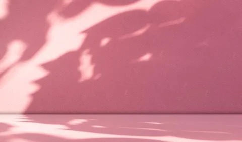 Pink Background Studio Room Shadow Light Abstract Flower Spring Summer 스톡 일러스트