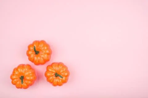 Pink background with three pumpkins. Stock Photos