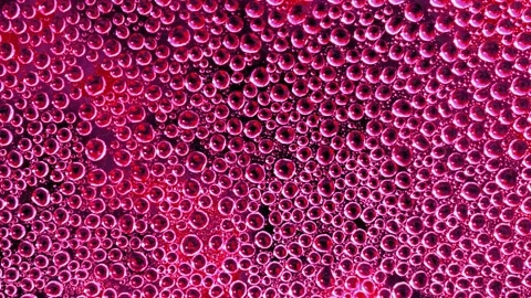 Pink background with water drops Stock Footage 166425993