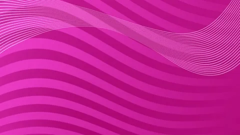 Pink Background Wave Lines Abstract Motion Loop. Stock Footage 286778323