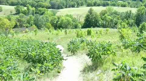 Pink Ball Bouncing Down Hill Stock Footage 12610218