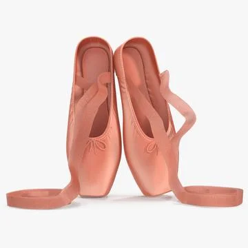 Pink Ballet Shoes 3D Model