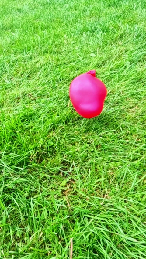 Pink balloon bouncing and rolling slowly on green grass Stock Footage 318079279