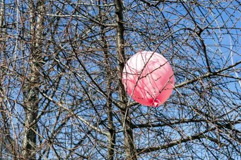 Pink balloon caught on branches of a tree Foto stock