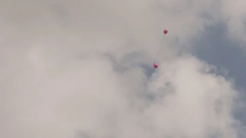 Pink balloons hovering in air01 Stock Footage